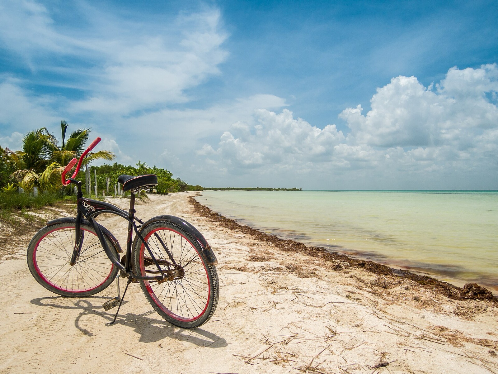 A bicycle parked on a sandy beach track beside shallow water on Holbox