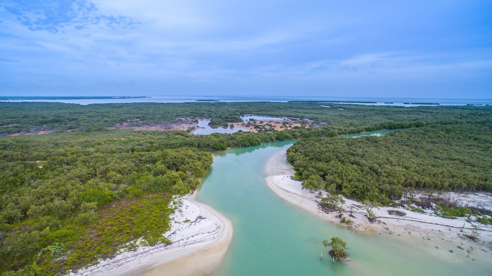 Aerial view of a turquoise channel winding through mangroves on Holbox